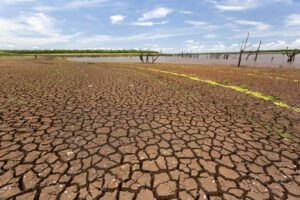 Barra de Santa Rosa entra em situação de emergência por falta de chuvas